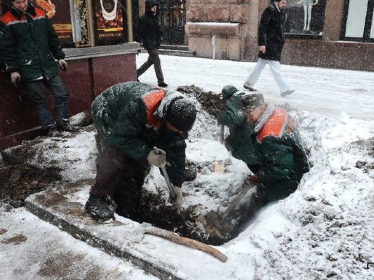 На Крещатике ликвидировали остатки легендарных киевских каштанов (ФОТО)