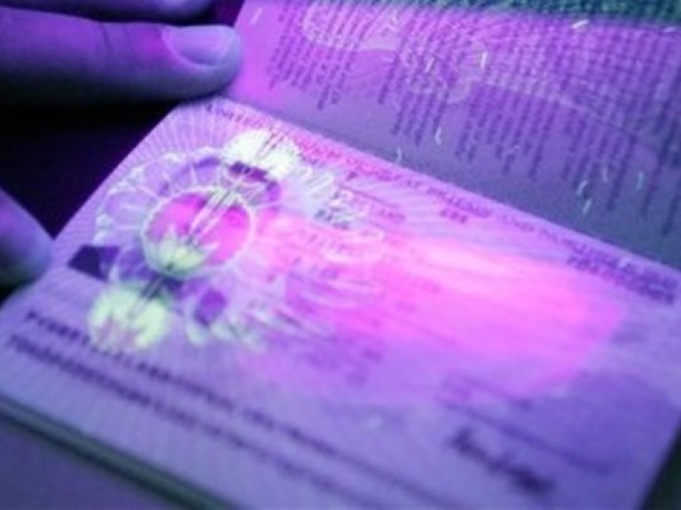 Получить визу по упрощенной процедуре можно будет с середины 2013 года — Немыря