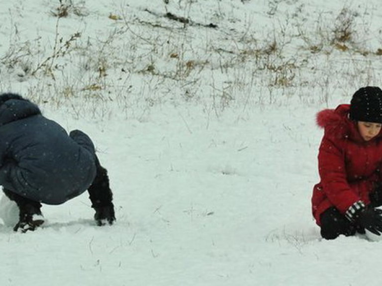 Каникулы в школах продлили не из-за снега &#8212; чиновник