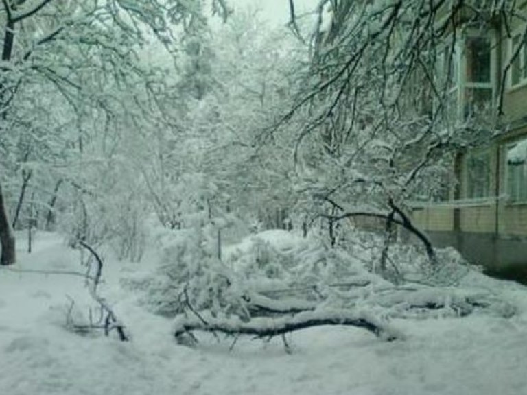 Житель Киева прорубил в снегу окно (ВИДЕО)
