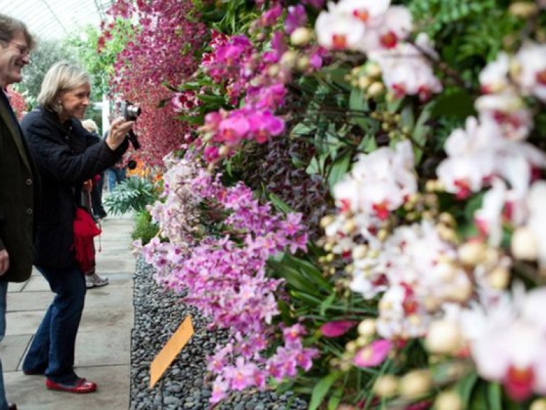 В Ботаническом саду Нью-Йорка зацвели орхидеи (ВИДЕО)