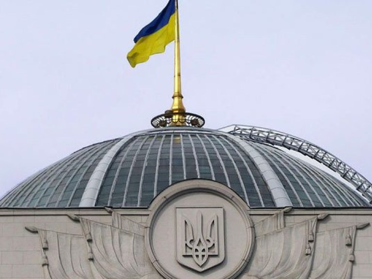 Рыбак: Украине не нужен двухпалатный парламент и мажоритарная избирательная система