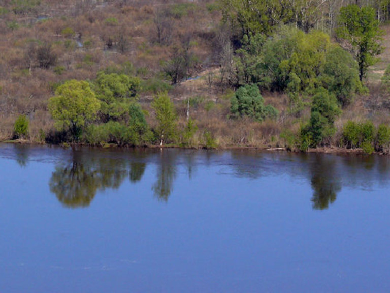 Реке Припяти не угрожает серьезное загрязнение радионуклидами — Кульбида