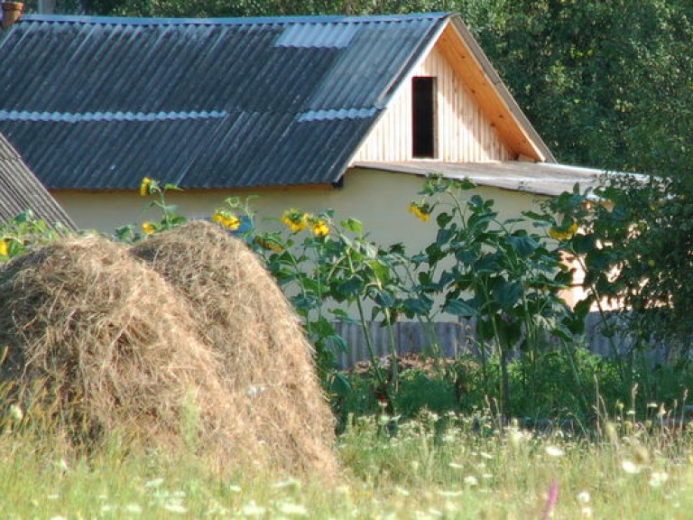 В Кабмине предлагают создавать кооперативы для сохранения сел в Украине