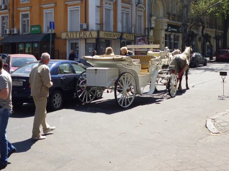 В центре Одессы карета врезалась в иномарку, кони не пострадали (ФОТО)