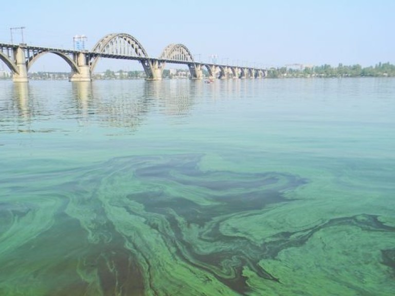 Днепр и украинские озера цветут из-за фосфатов – эксперт