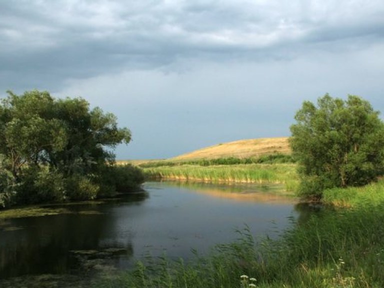 Вода в реках опасна не только для купания, но и для полива огородов &#8212; эколог
