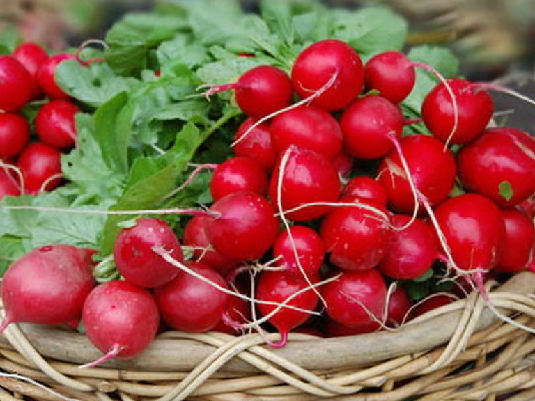 Эксперт посоветовала, как защититься от нитратов в овощах и фруктах