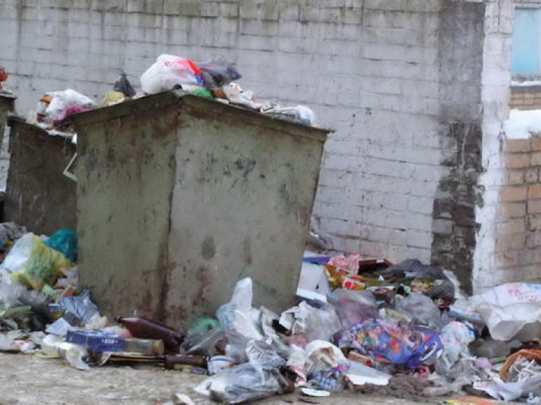 Прокуратура жалуется, что чиновники присваивают деньги, выделенные на утилизацию отходов