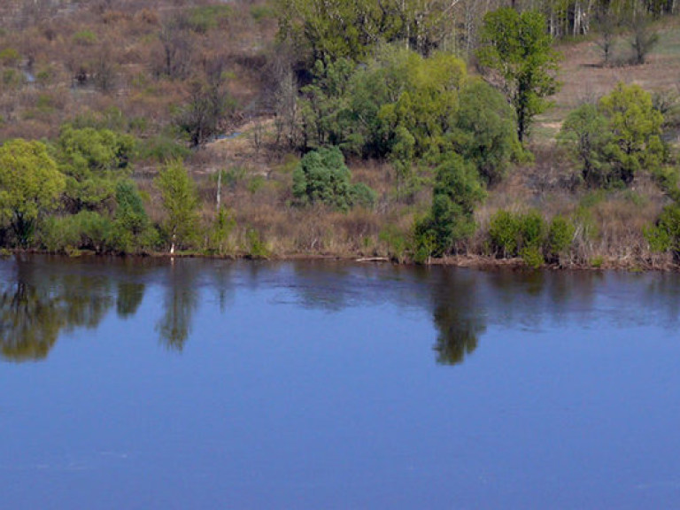 В Сумской области в озере утонул маленький мальчик