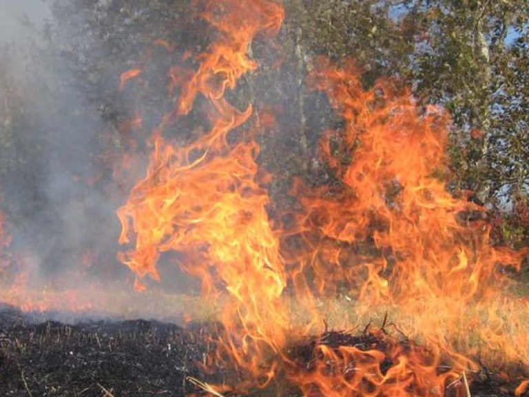 На Троицу в Украине объявлен высший уровень пожарной опасности
