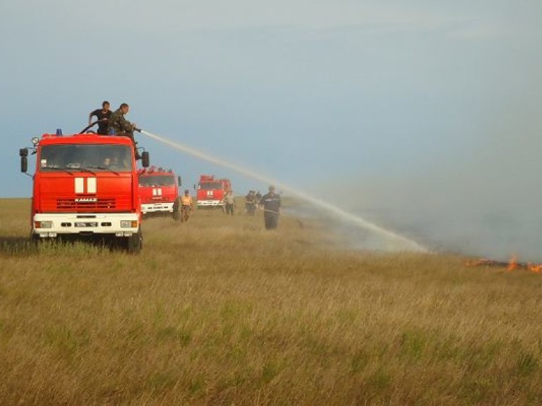 В Николаевской области горело пшеничное поле