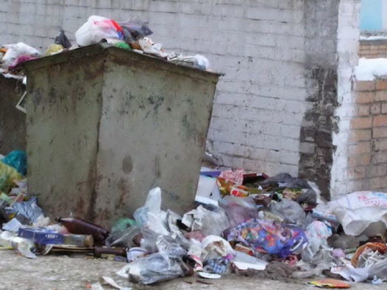 Города «захлебнулись» в мусоре