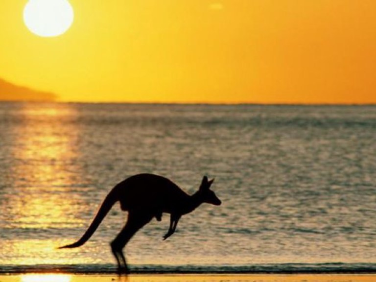 В Австралии выбрали работников, которые будут купаться, путешествовать, отдыхать, есть (ВИДЕО)