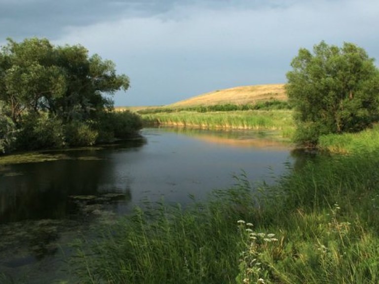 За последние 20 лет в Украине исчезло почти 20 тысяч рек — эксперт
