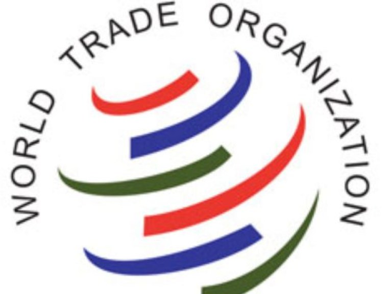 Присутствие Украины в ВТО тормозит развитие отечественной промышленности &#8212; УСПП