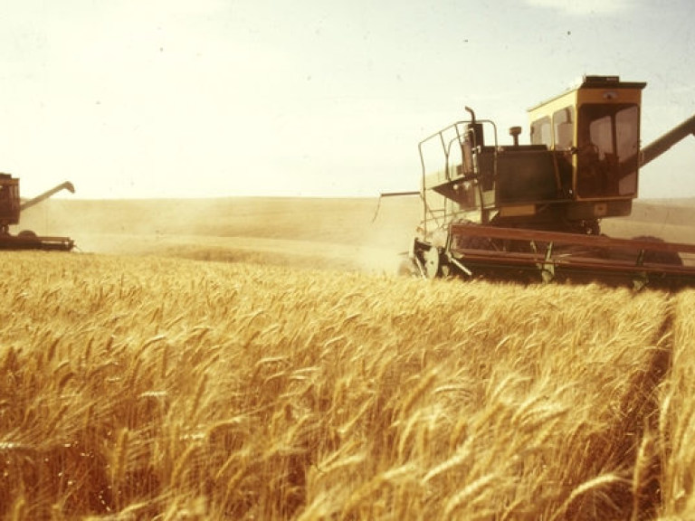 Трейдеры &#171;обвалили&#187; цены на зерно, фермерам не за что сеять озимые &#8212; эксперт