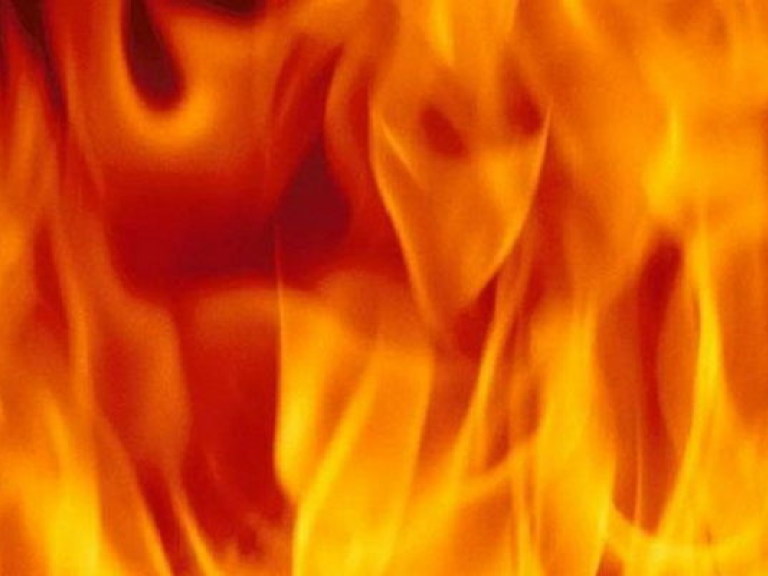 На Закарпатье объявлена высшая степень угрозы пожаров