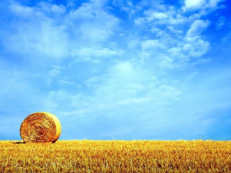 На этой неделе погоду в Украине будет определять антициклон