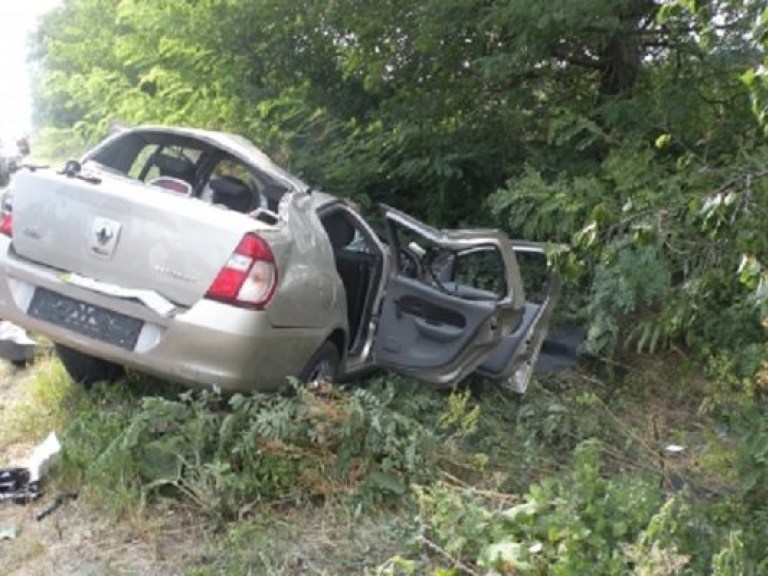 Отец Лонгин вылетел на своей машине в кювет и врезался в дерево (ФОТО)