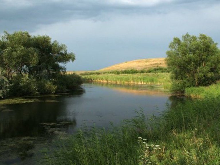 Отравленная вода украинских водоемов сокращает жизнь