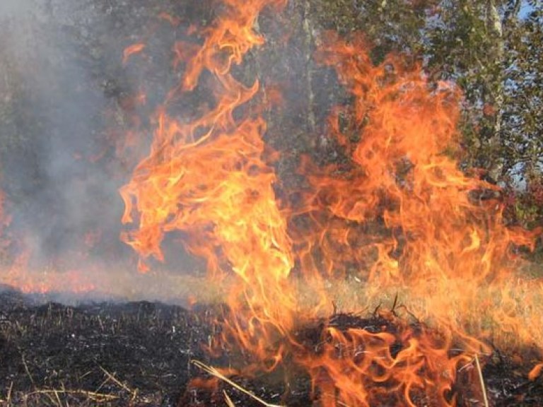 На Полтавщине горело семь гектаров торфа