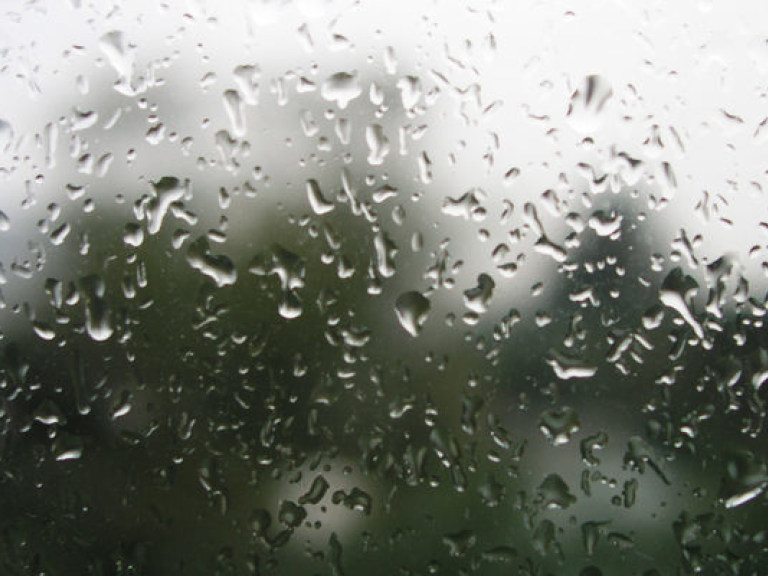 Последняя неделя лета будет прохладной и дождливой — Укргидрометцентр