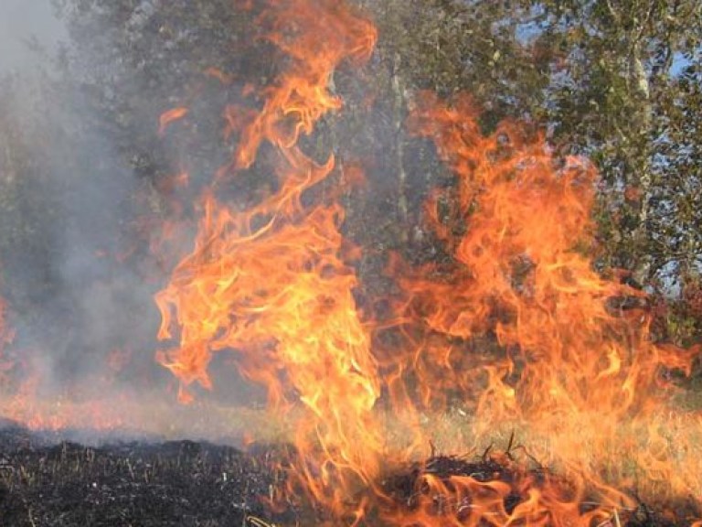 В Крыму объявлен чрезвычайный уровень пожарной опасности