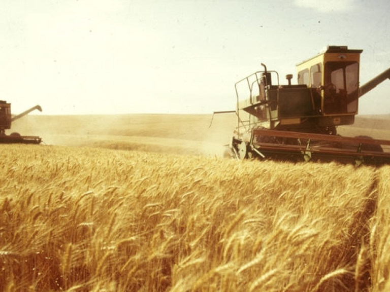 Украине не стоит уповать на хороший урожай зерна – экс-министр