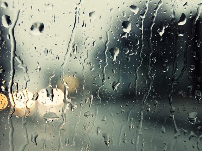 Синоптик: сухой погоды в сентябре ждать не стоит