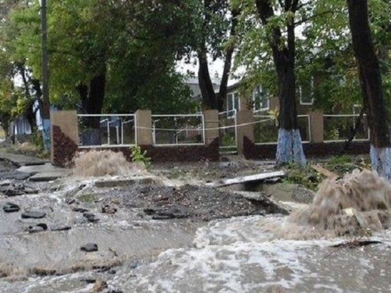 В одесской области под водой ищут тысячи затонувших животных