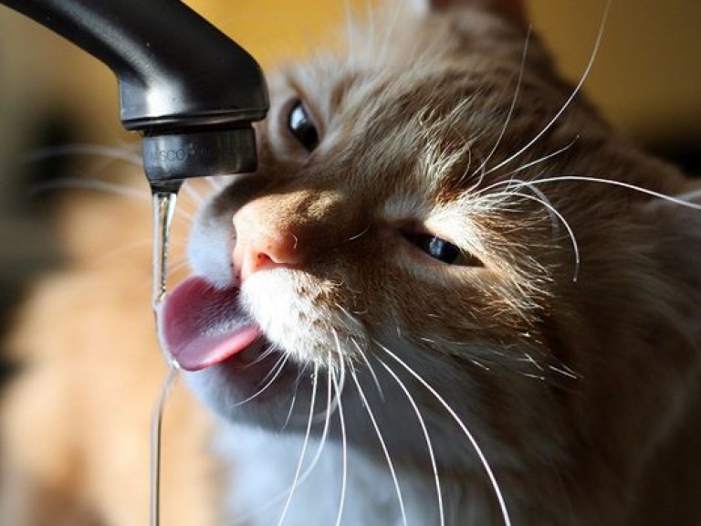 Кировоград остался без воды