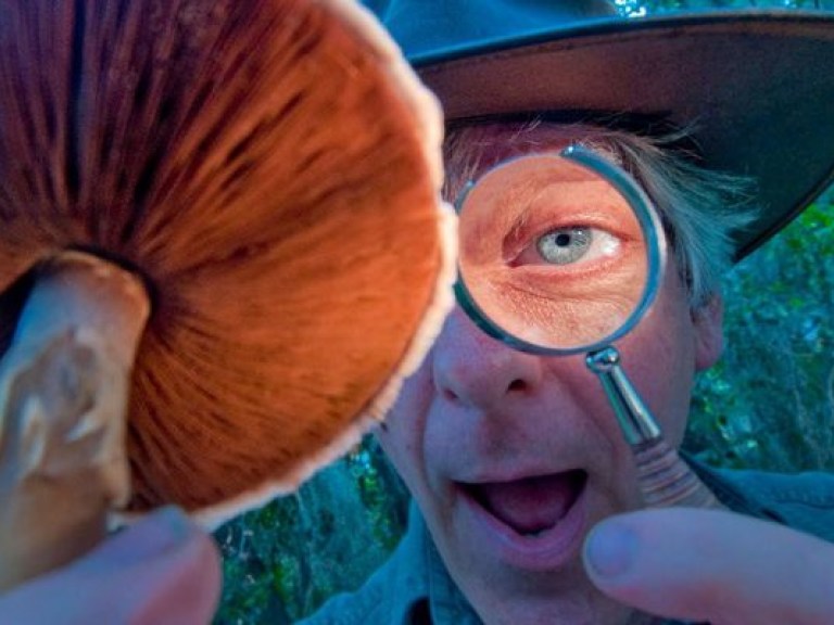 В Крыму ищут 75-летнего грибника