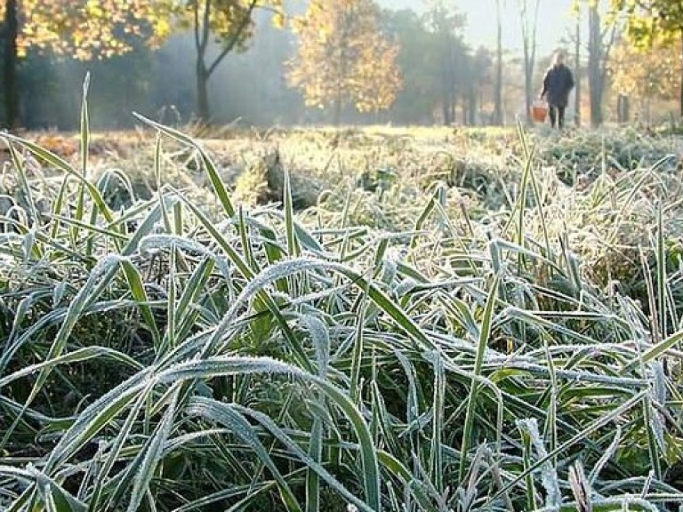 Сегодня на Киевщине обещают заморозки