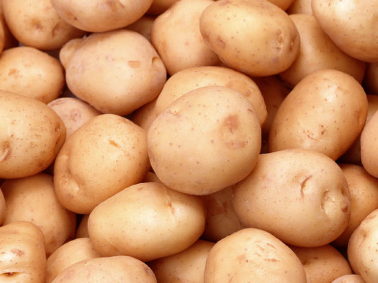 Присяжнюк: Украинцы выкопали 99% картофеля и собрали 90% овощей