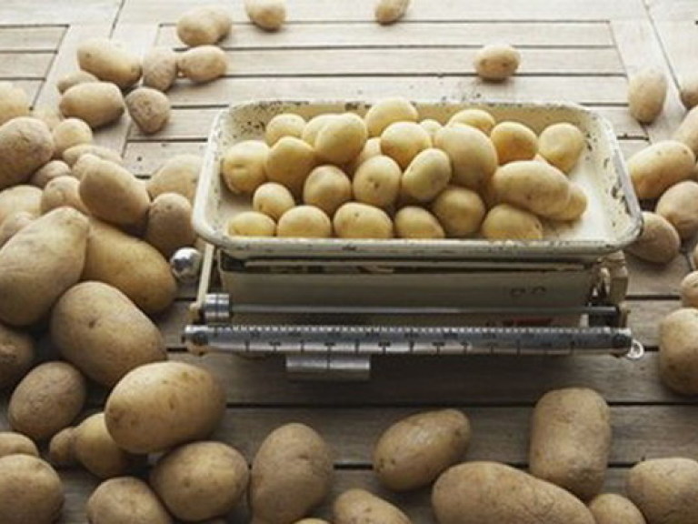 В Украине производство картофеля в 3,5 раза превышает потребности населения