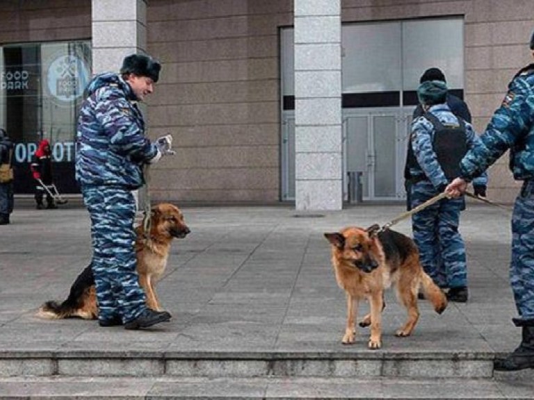 В России предположительно установили личность «бирюлевского убийцы»