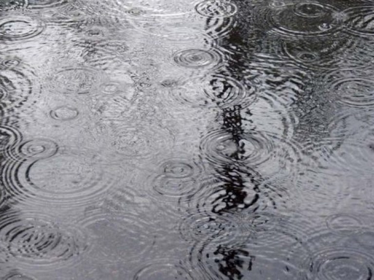 Завтра наконец «наступит» осень: синоптики обещают дожди