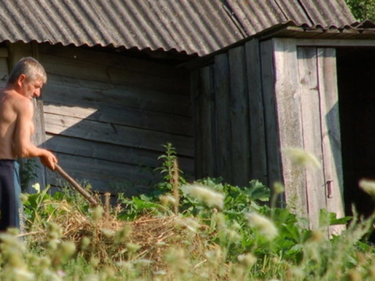 Эксперт назвал главные проблемы украинского села