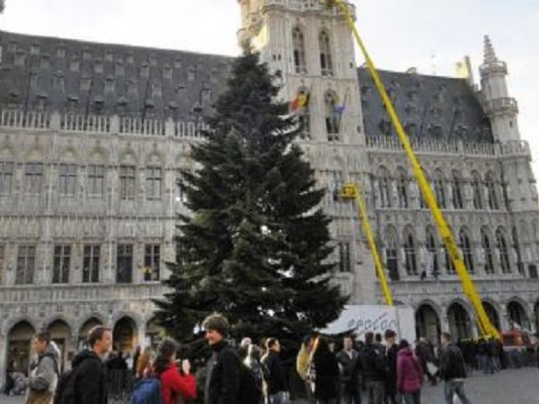 В Брюсселе в этом году поставят «нормальную» рождественскую елку (ФОТО)