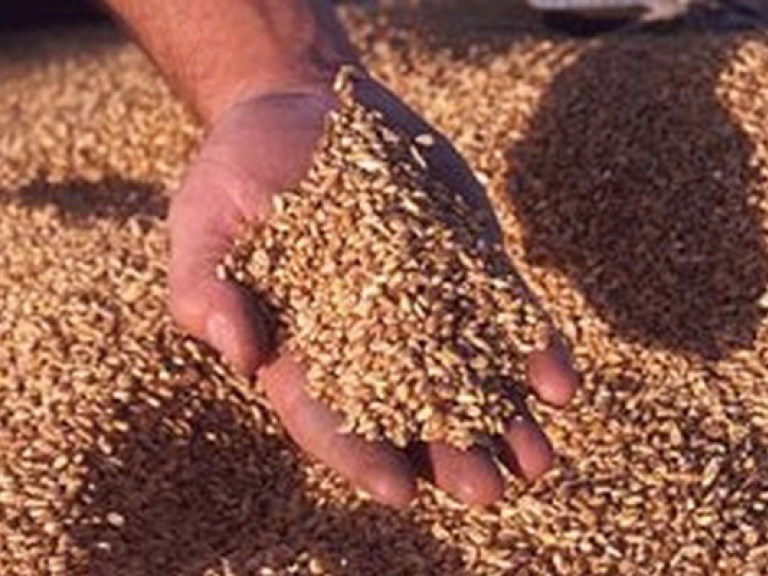 Присяжнюк: Экспорт отечественных зерновых вырос на 8%