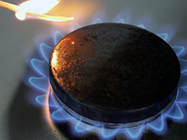 Отечественный газ обходится Украине в 16 раз дешевле российского &#8212; Гордиенко