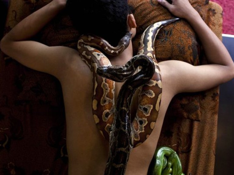 Туристы в восторге от индонезийского массажа со змеями (ВИДЕО)