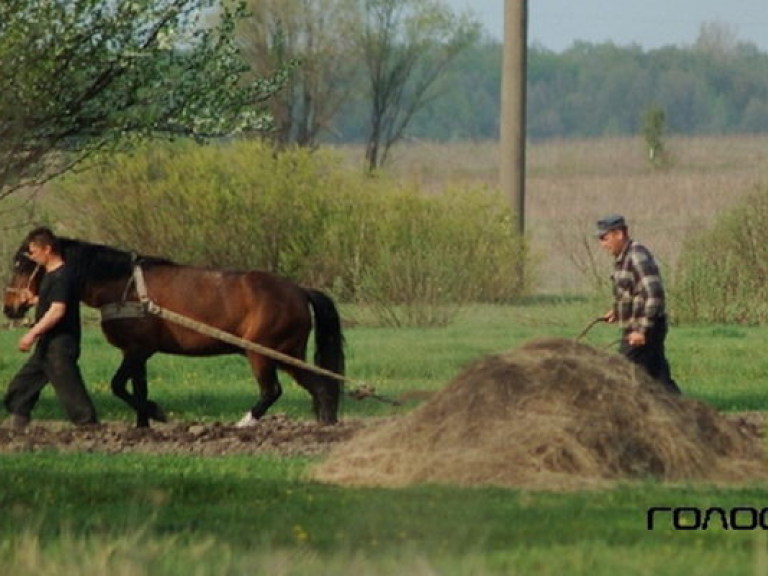 В Украине сокращается количество фермерских хозяйств
