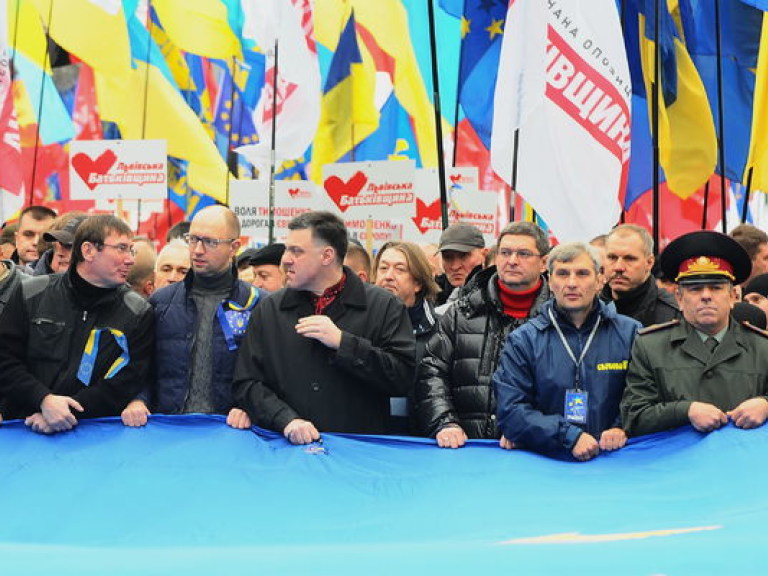 Политолог: оппозиция изуродовала Евромайдан своей партийной символикой