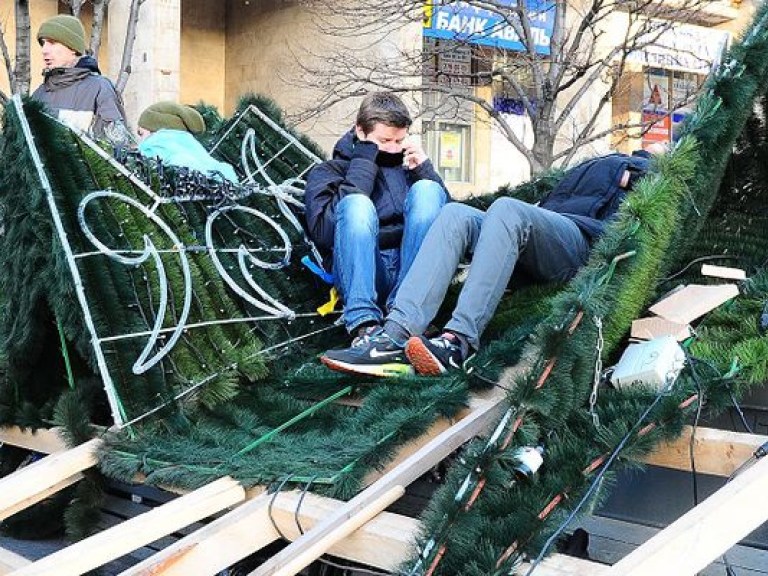 На Майдане митингующие разбирают новогоднюю елку на сувениры