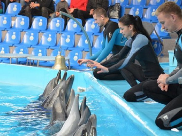 Международный день людей с особенностями развития вместе с дельфинами (ФОТО)