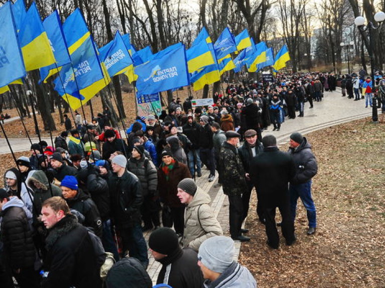 В Мариинском парке собралось около семи тысяч митингующих