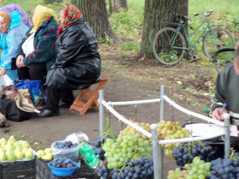 Присяжнюк: Сеть оптовых рынков сельхозпродукции охватит всю Украину