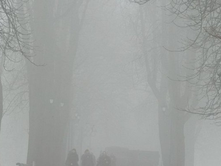 Сильный туман парализовал Одесский аэропорт